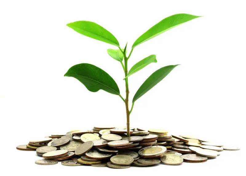 Инвестиции SKF в сохранение экологии | Свежие новости в Кемерове