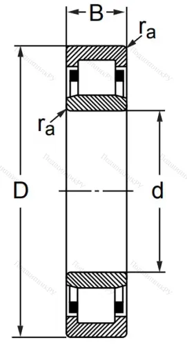 Цилиндрический роликовый подшипник 32205 (NU 205) в Кемерове Цилиндрический роликовый подшипник 32205 (NU 205) в Кемерове